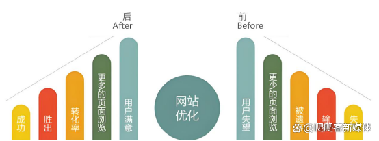蜘蛛池在员工工作效率提升中的作用